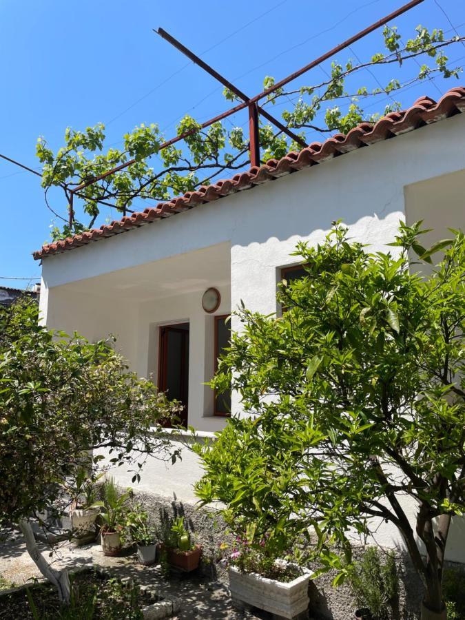 Vila Cano Hotel Durres Ngoại thất bức ảnh