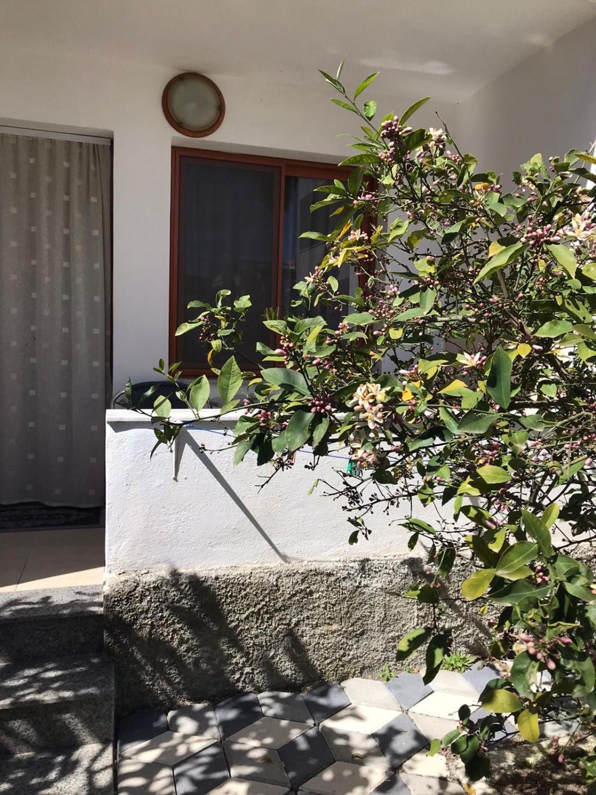 Vila Cano Hotel Durres Ngoại thất bức ảnh